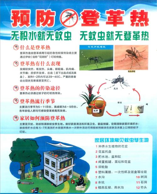 注意!深圳这14个社区有登革热传播风险,注意清积水、防叮咬