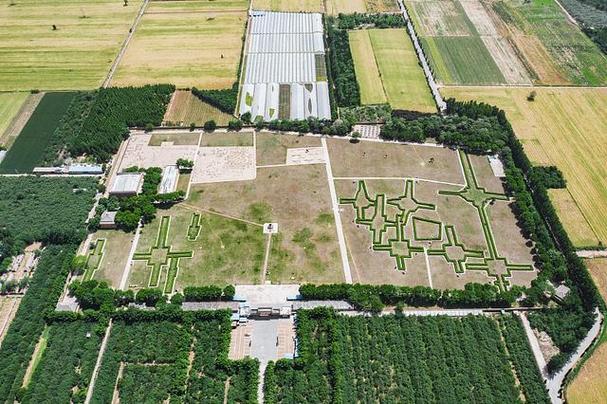 国家考古遗址公园+19 我国大遗址保护利用还有这些新进展