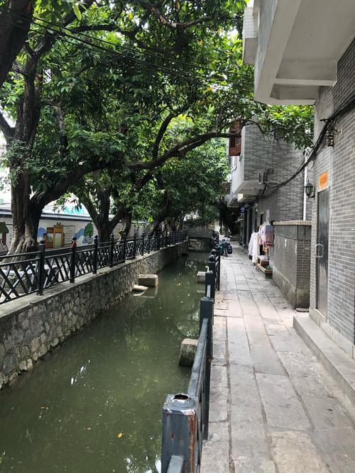 拍客|探访海口冯塘村,感受古朴村落的惬意