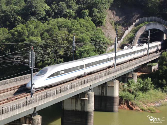 广深港高铁春运跨境客流近400万人次 “轨道上的大湾区”正加速成型