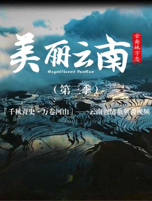 “绣”出一片新天地|在云南样样好