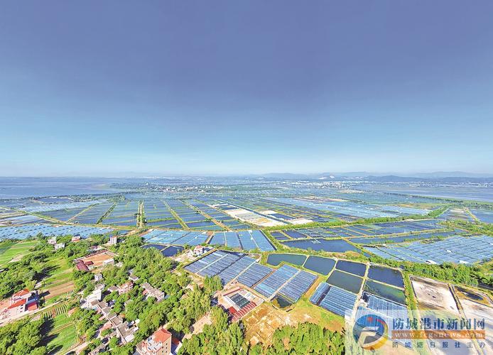 从“靠海吃海”到“文旅兴村” “渔业+”成乡村融合发展鲜活样本