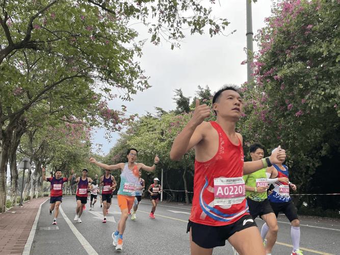2.3万名“跑友”参加广东肇庆马拉松