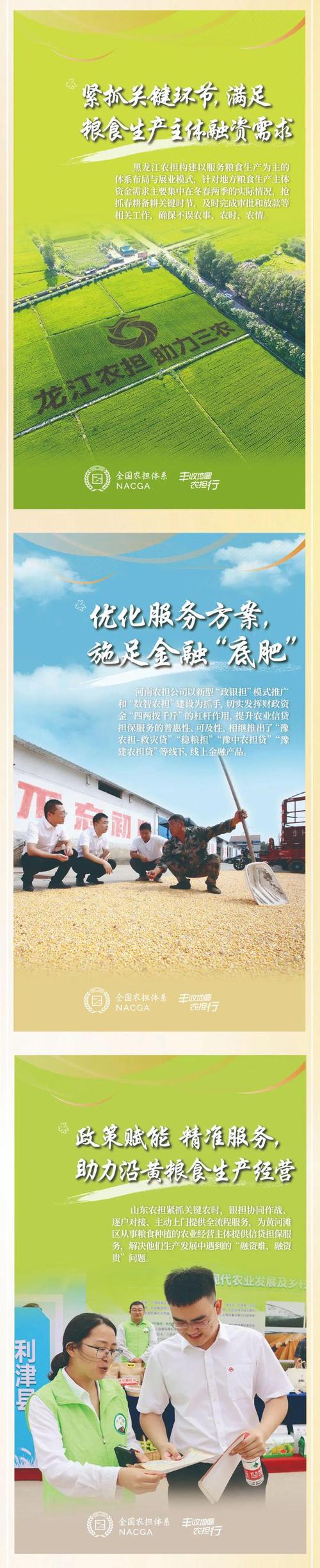 种粮卖得出 饭碗端得稳（锐财经）