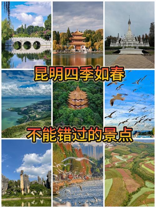 万千气象看云南丨来昆明,将一大把“春天”带回家