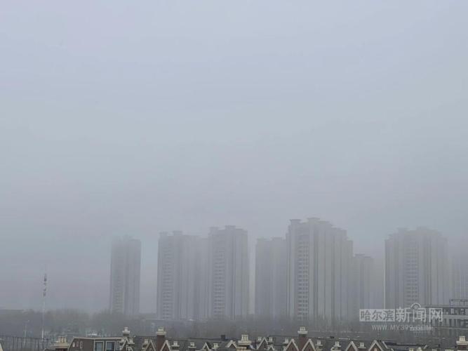黑龙江省桦南县发布大雾黄色预警_1