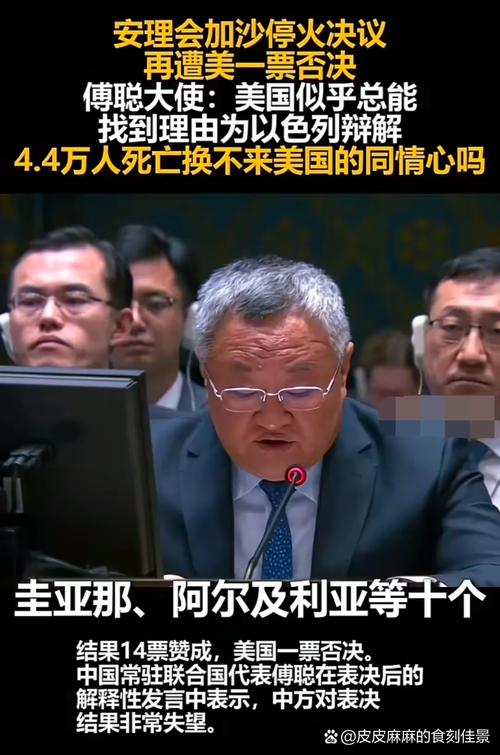 联合国安理会未通过美国提出的加沙地带停火决议草案