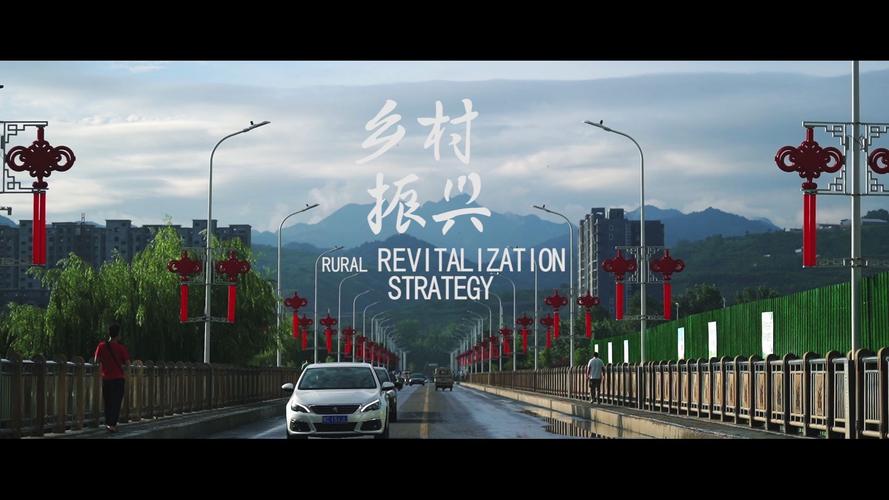 (乡村行·看振兴)持续深化林改 福建沙县促高质量发展