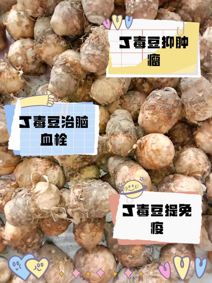 隔夜的豆类食品有毒?
