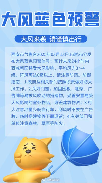 陕西省佛坪县发布大风蓝色预警_4