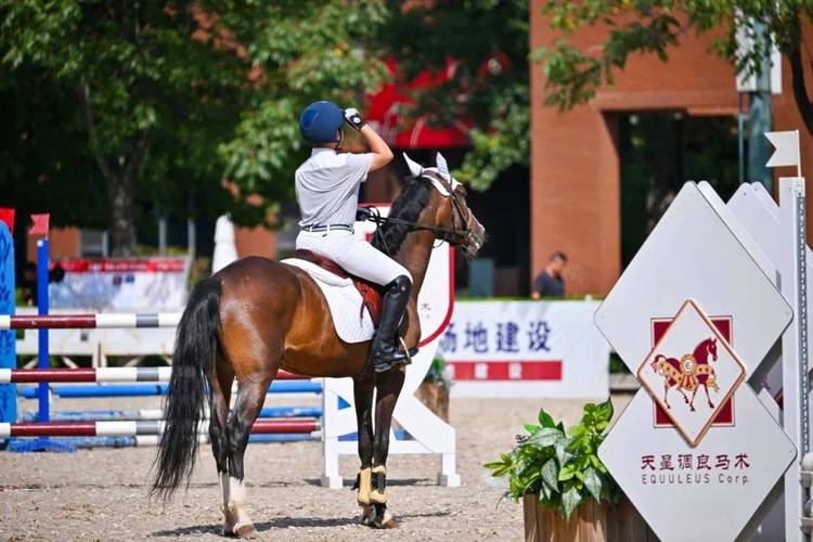 2024年中国马术U系列俱乐部杯赛(华南区)在东莞举办