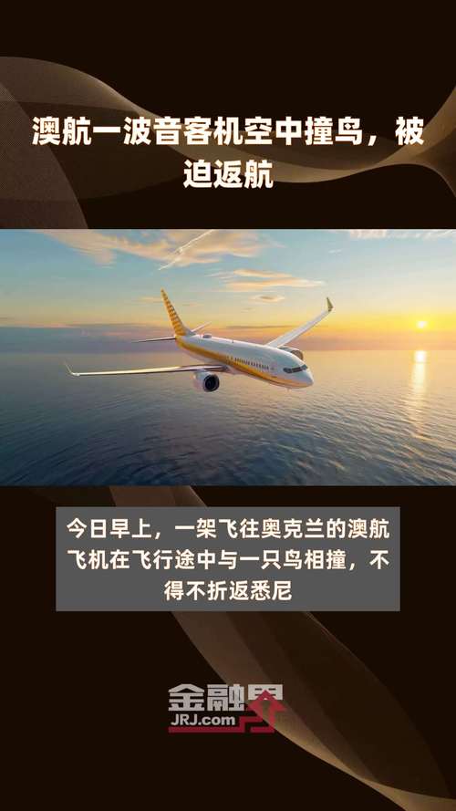 澳航一客机空中撞鸟后被迫返航 紧急降落悉尼机场