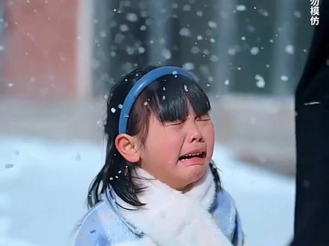 风雪天偶遇独行小女孩 好心人一路护送