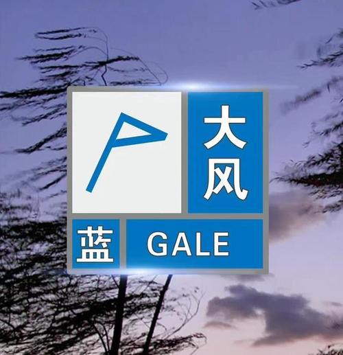 黑龙江省穆棱市发布大风蓝色预警_5