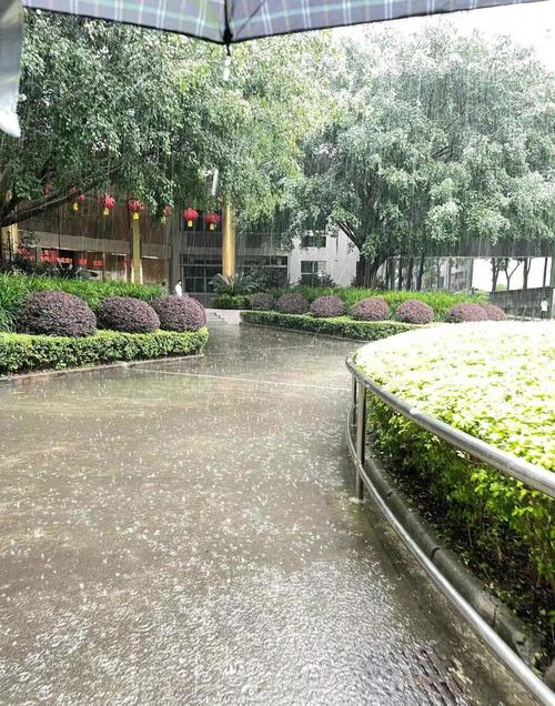 预计未来三小时广州市区有雷雨 局部雨势较大