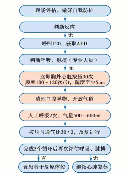 海南:心肺复苏初级急救措施将纳入高中或高校教学内容