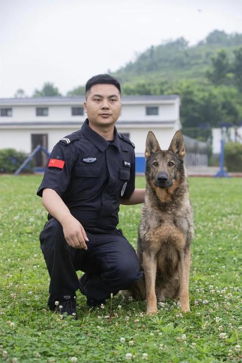 舍不得它去别人家里 戍边民警领养搭档7年的退役警犬